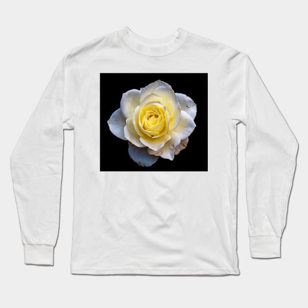 White Rose Long Sleeve T-Shirt by briankphoto